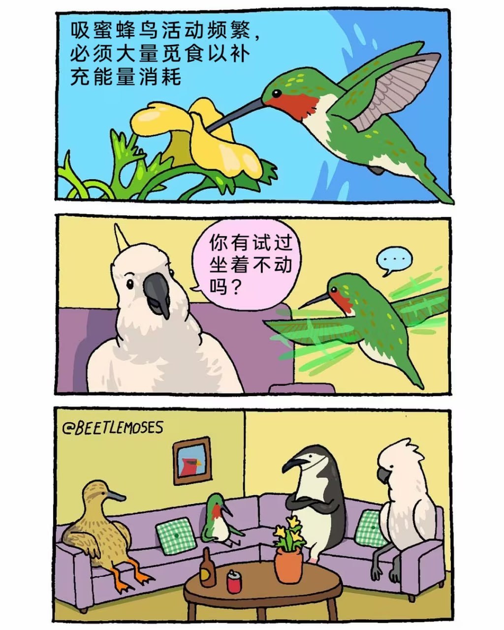 chillbro​​​