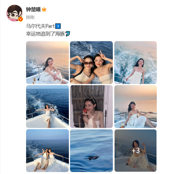 钟楚曦追到了海豚钟楚曦幸运地追到了海豚马尔代夫Part3，幸运地追到了海豚