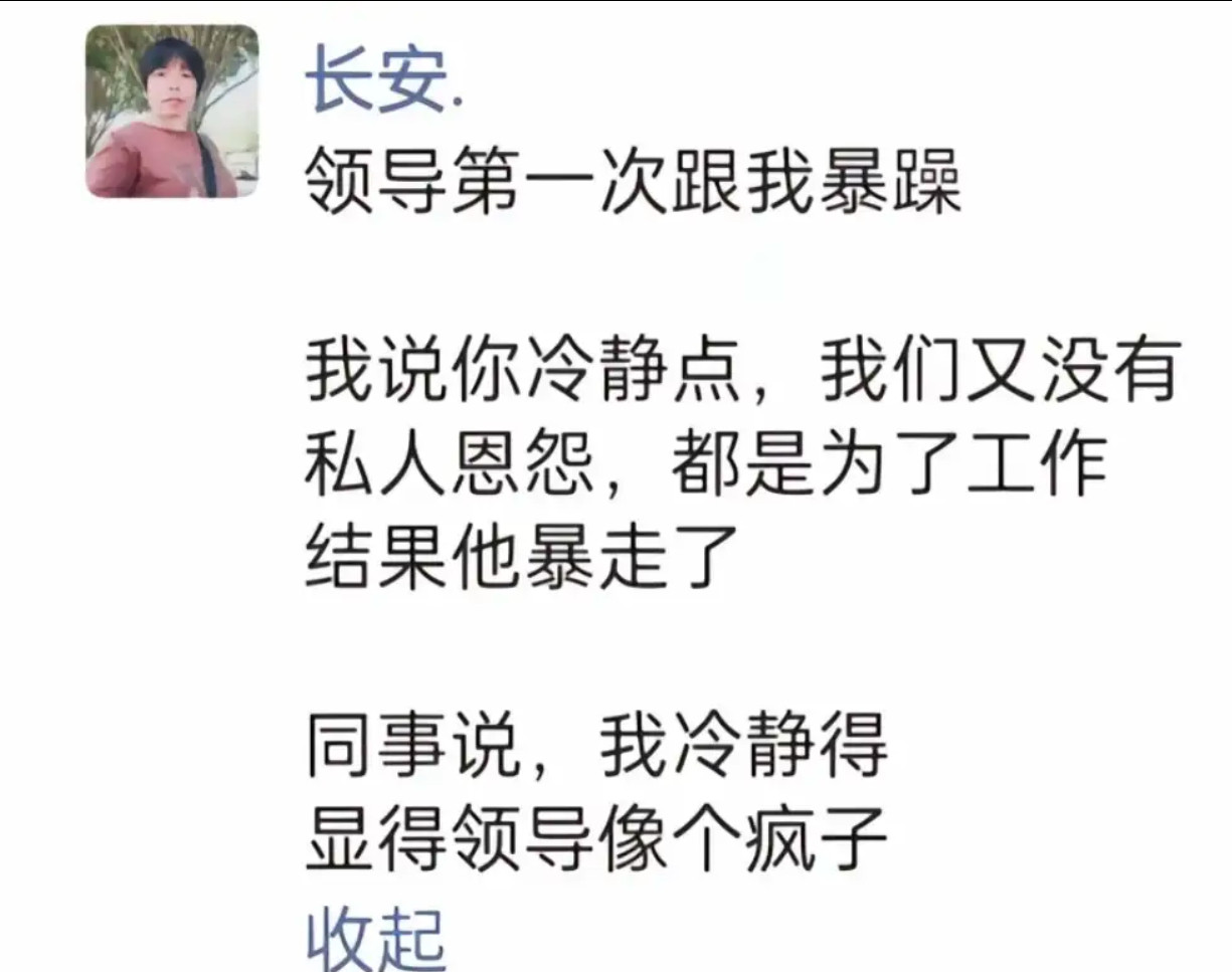 当我劝领导冷静，他却“怒”成了脱缰野马​​​
