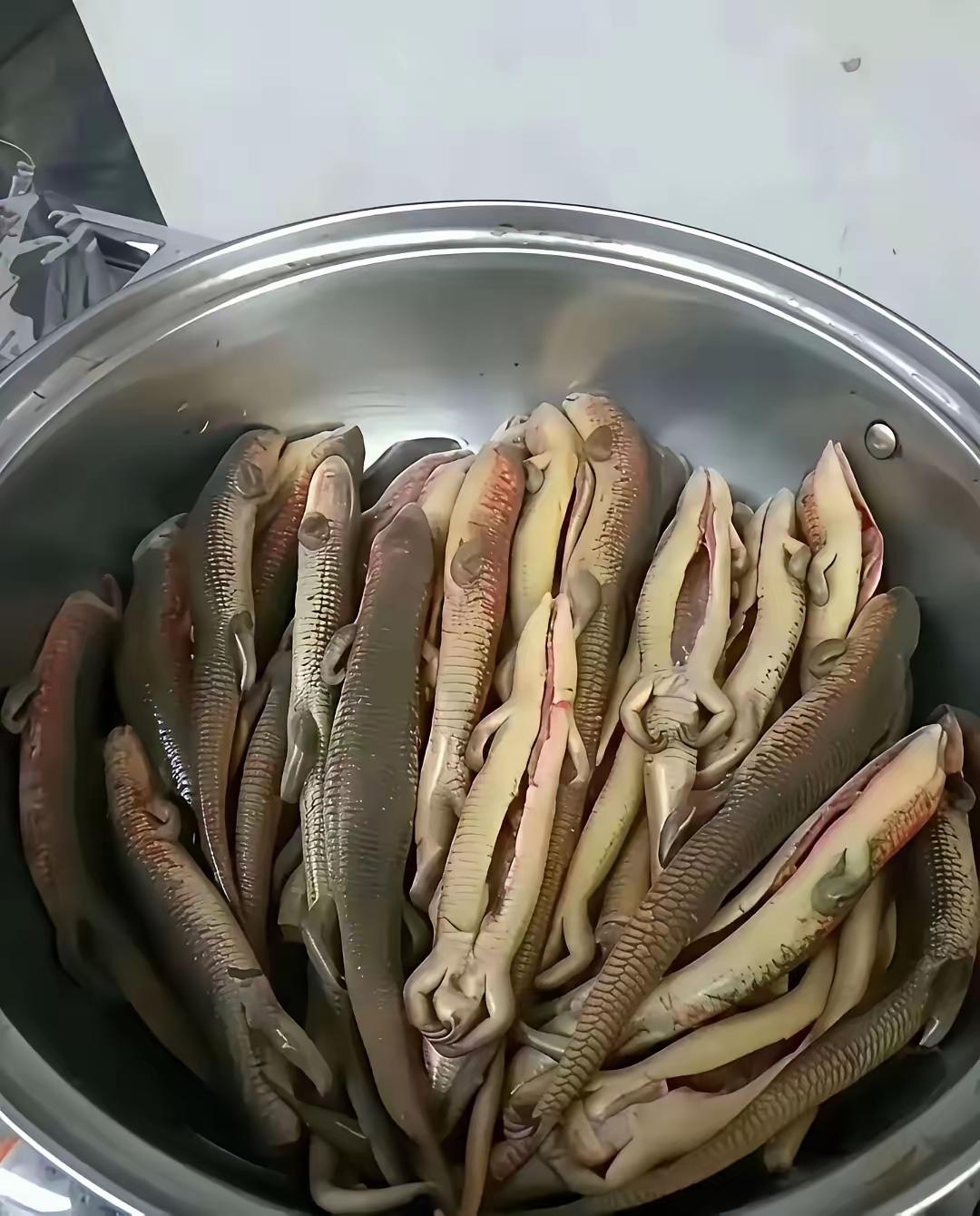 听说这玩意可好吃了。无毒。