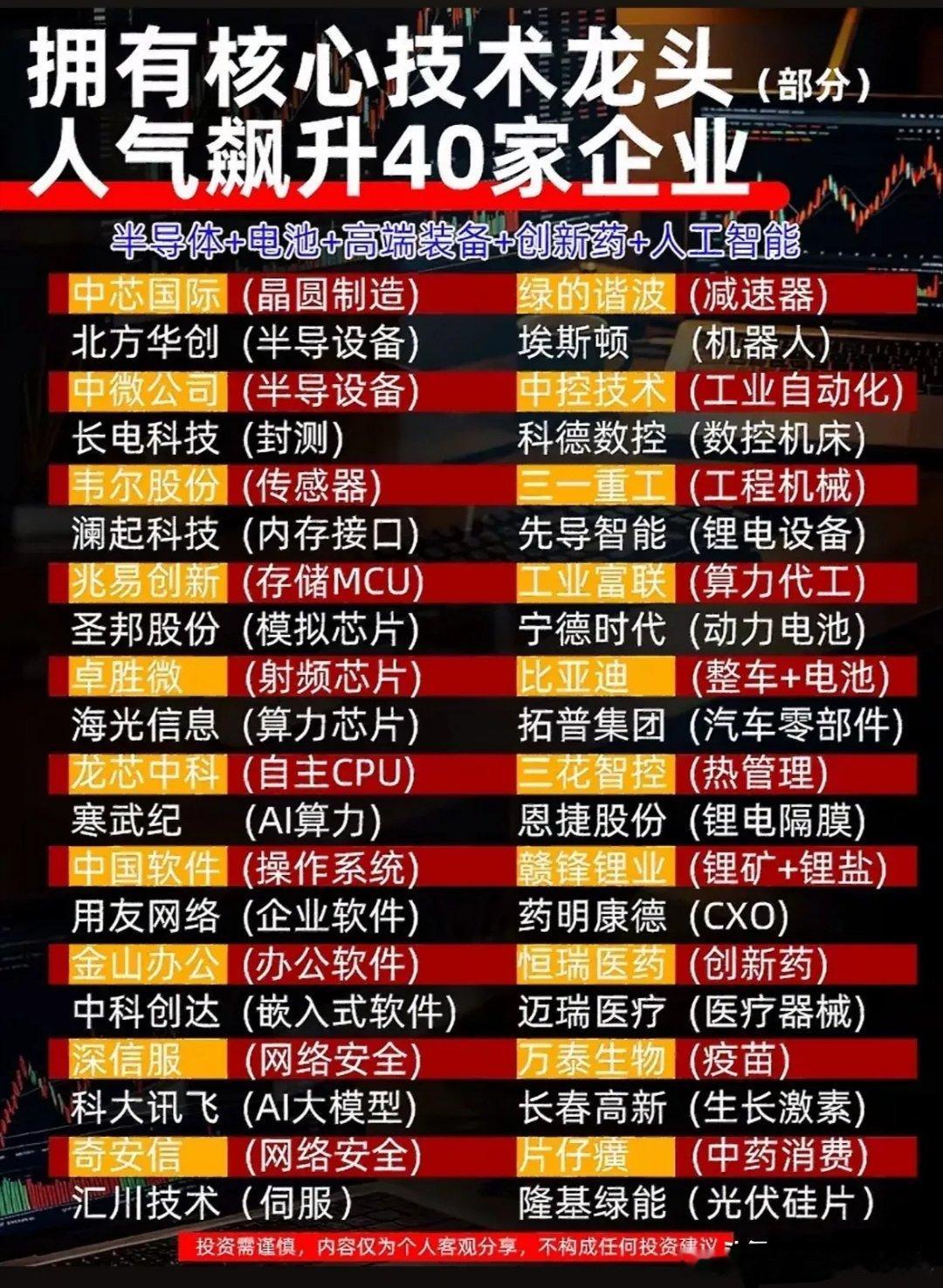 图中罗列了四十家掌握核心技术的行业龙头，覆盖半导体、人工智能、新能源装备、创新医