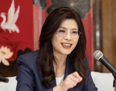 刚从大陆返台就闯“虎穴”！郑丽文主动接绿媒专访，没人敢说的反“台独”实话，她全程