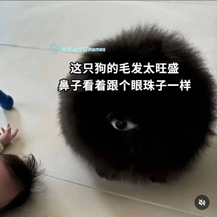 你好（9gag）哎呀​​​
