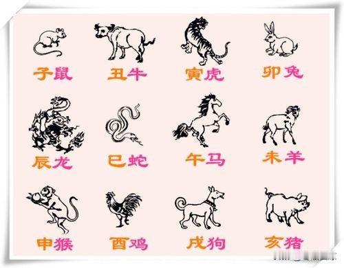 十二生肖老婆的旺夫指数鼠老婆………90分牛老婆………88分虎老