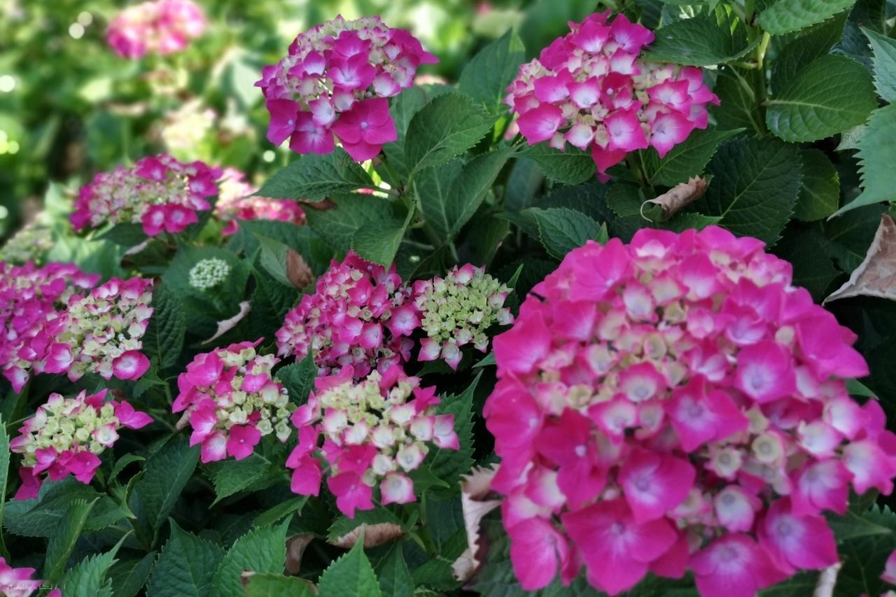 人生就像穿高跟鞋，当你羡慕别人穿高跟鞋漂亮有气质的时候，你害怕自己驾驭不了。可是