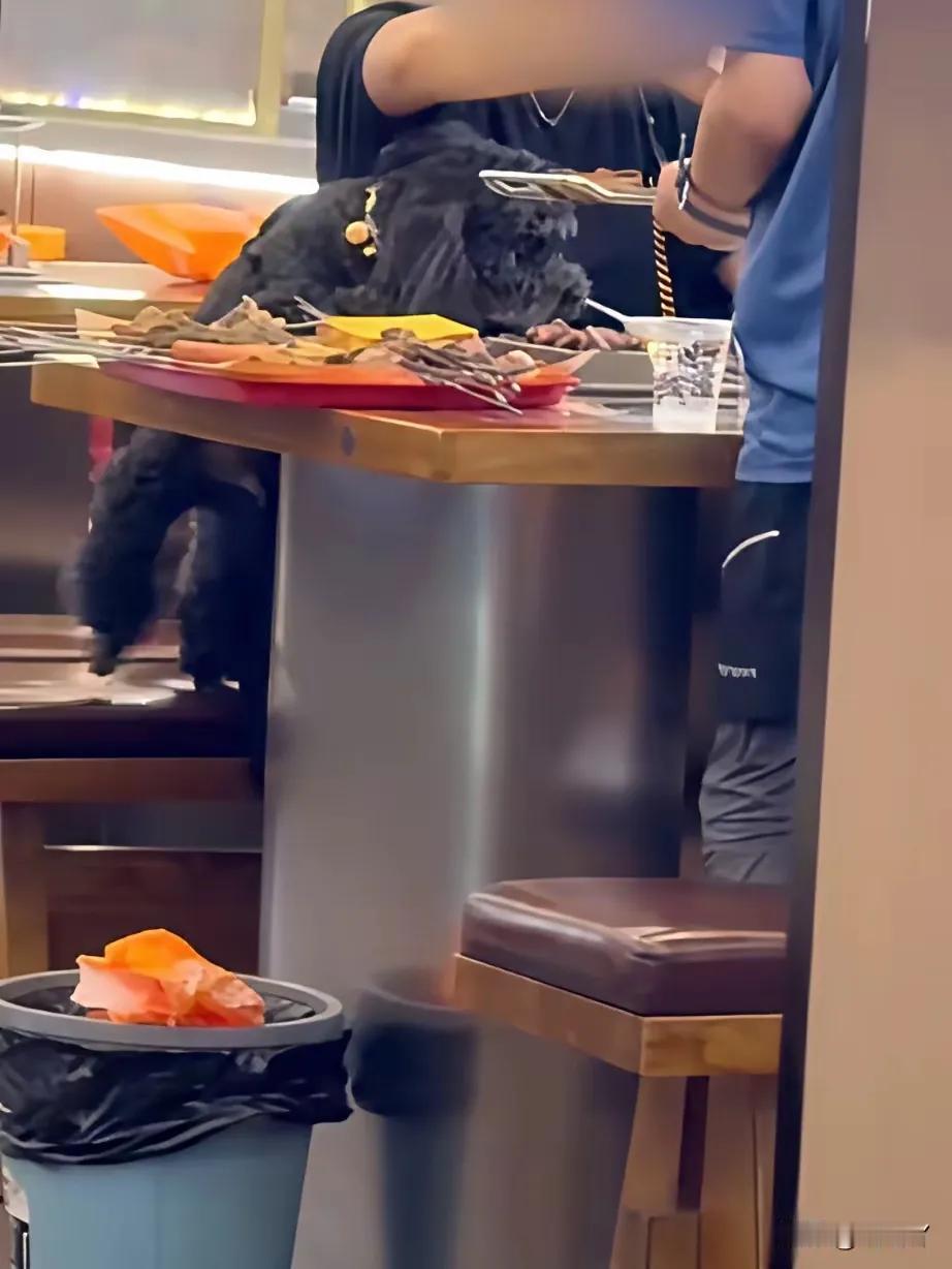 北京某饭店。一对男女带宠物狗进店吃饭。直接拿筷子夹菜给狗吃，用给顾客的杯子给狗