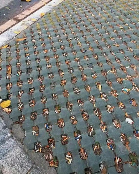 终于知道铺这种地砖的意义了。