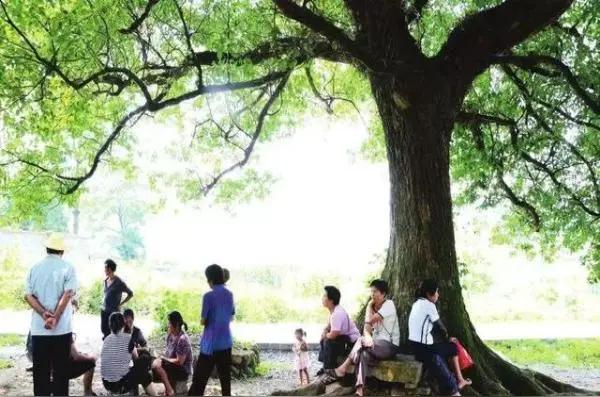 村长不像个男人村子里有几位中年妇女很凶，斗嘴很内行，啥话都敢说。有一天村长在村