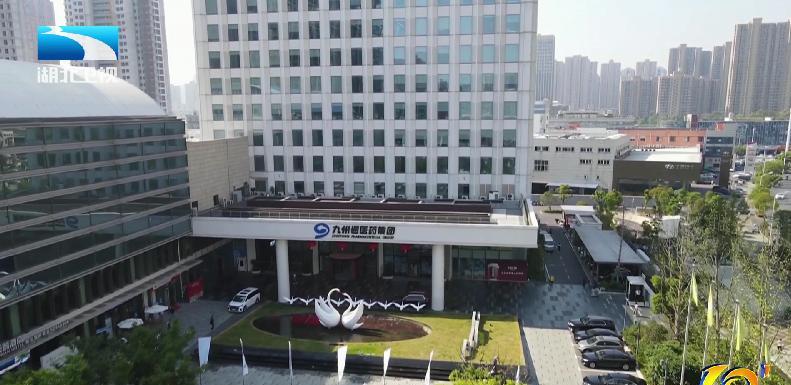 7月17日，湖北省领导在武汉市调研民营企业发展并主持召开座谈会。视频画面看到了