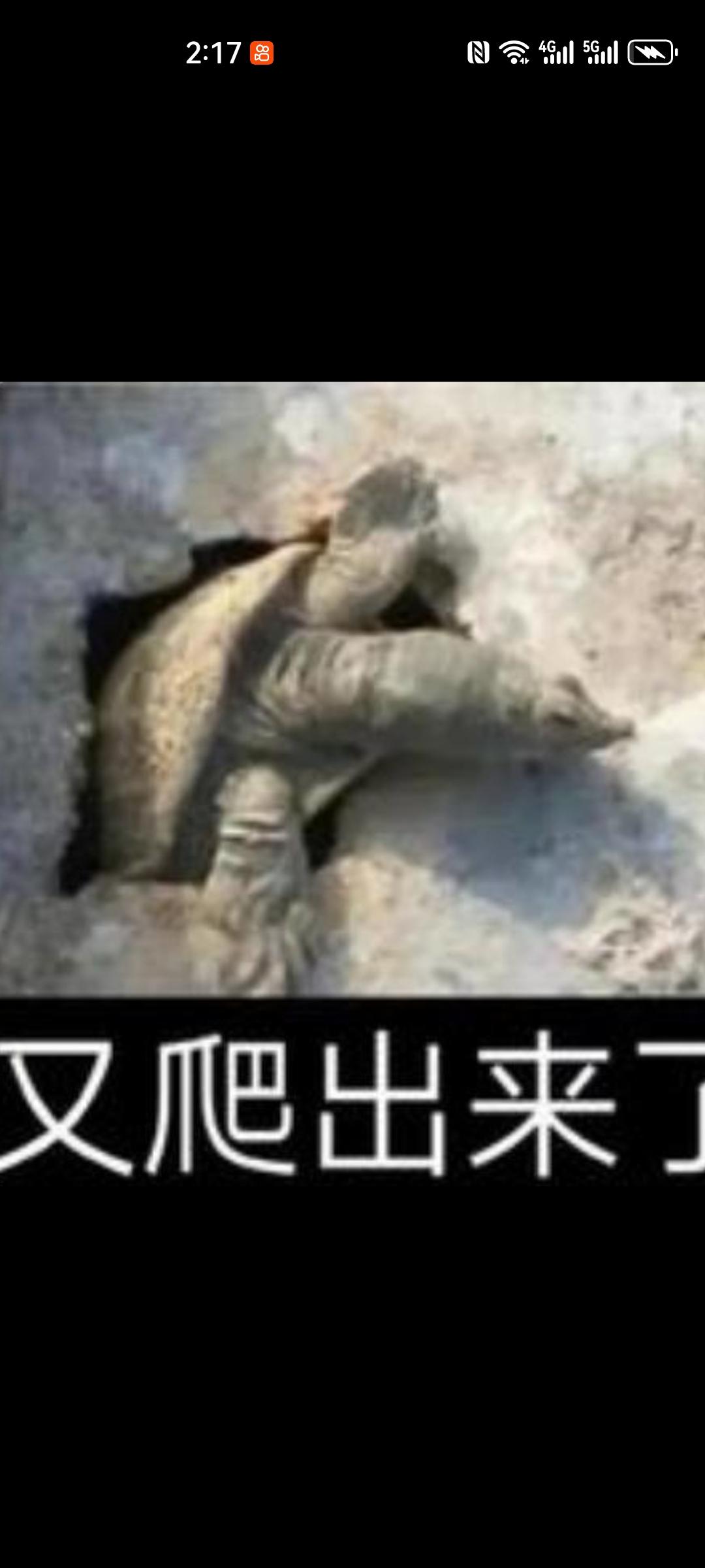 透透气……我又来了……[捂脸哭]