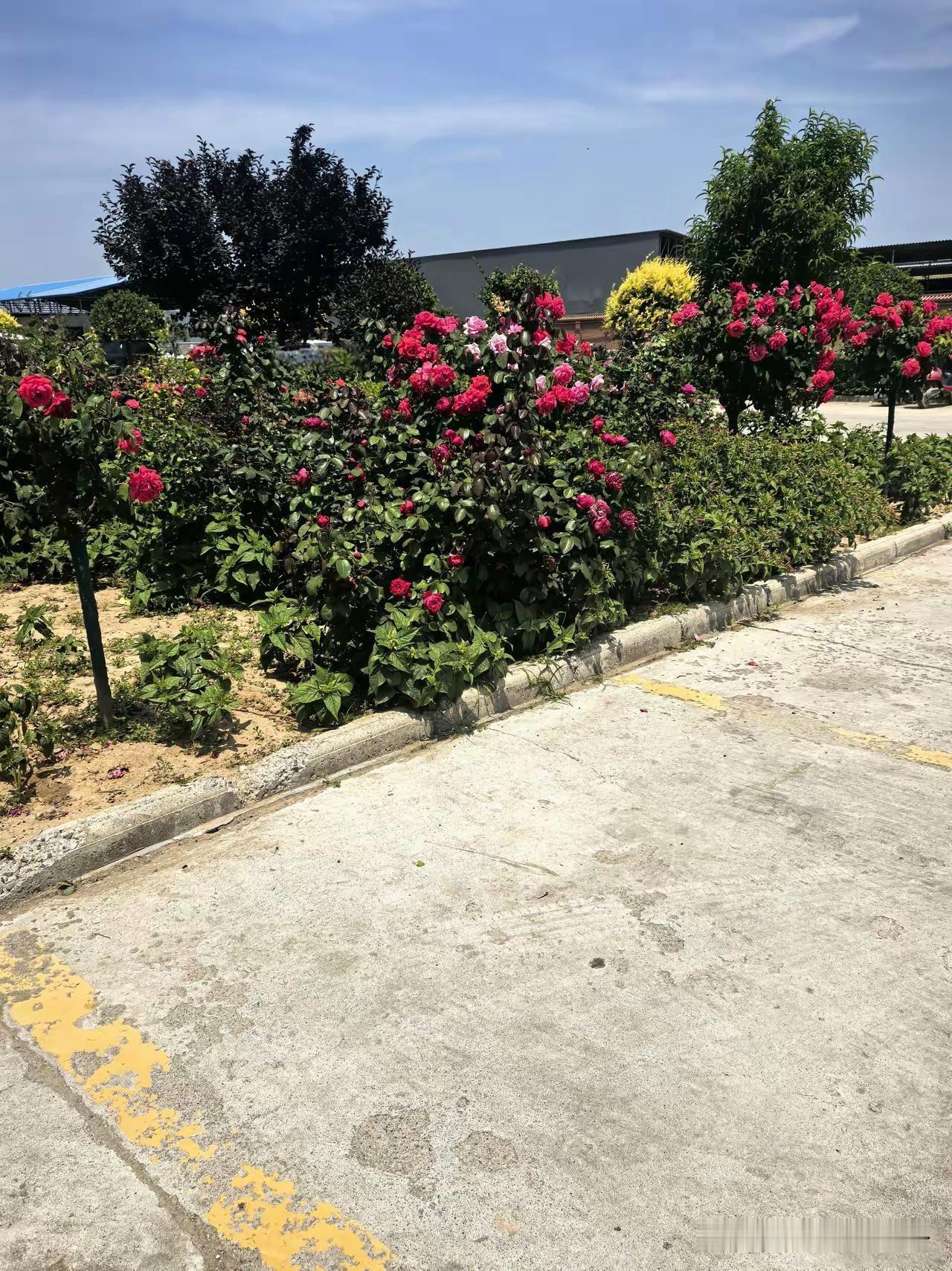 亲戚再牛逼，也轮不到你沾光我表叔，在县城开了三家超市，一年少说赚七八十万。逢年