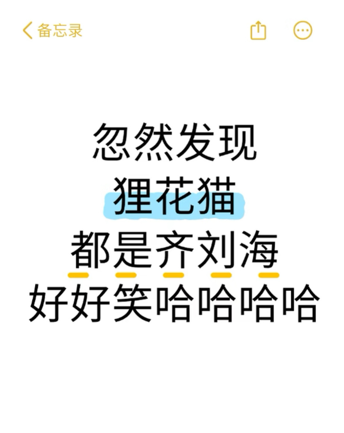 发现狸花猫都是齐刘海