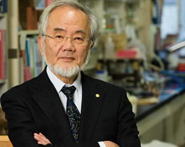 日本生物学家大隅良典因为发现了饿肚子时身体靠"吃掉"受损细胞来自我清理的机制