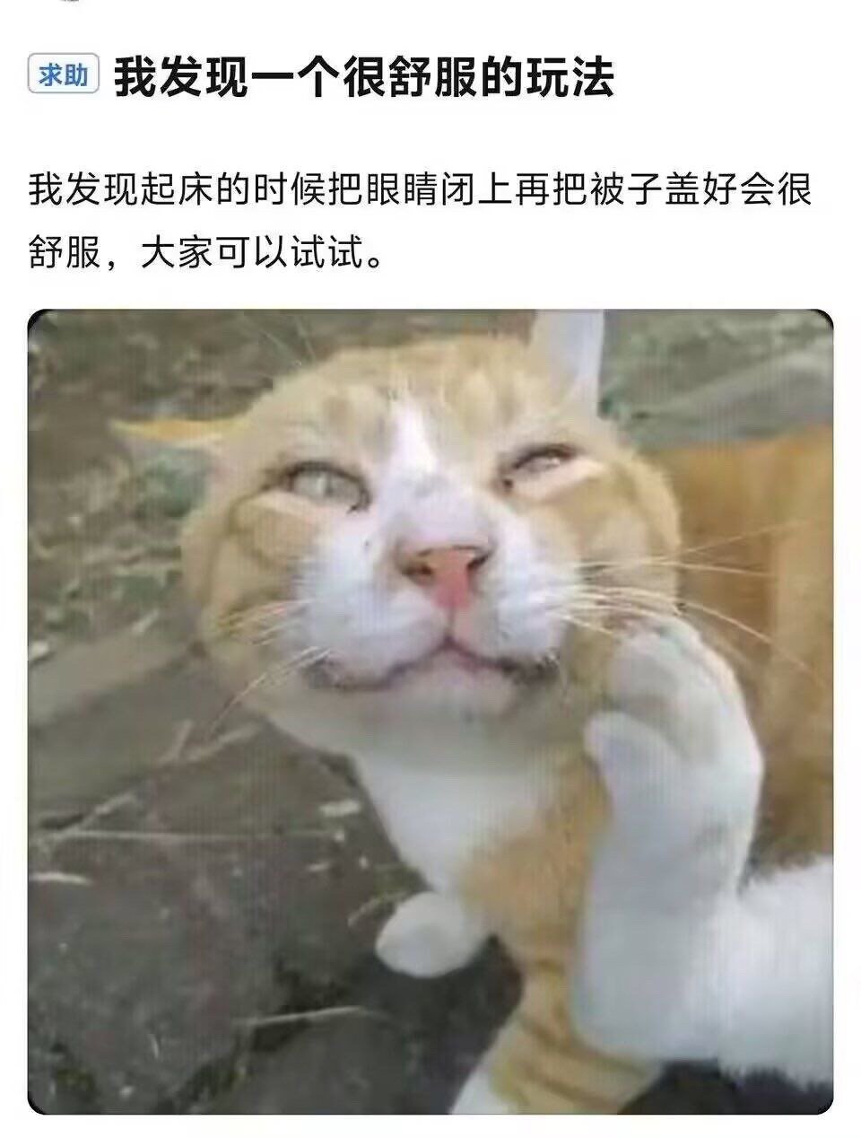 我发现上班的时候闭上眼睛很舒服