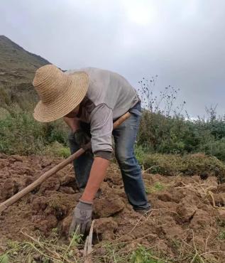 什么叫智慧，一位农民查出癌症，起身准备走，医生问：这个病还是有希望治的，为什么走