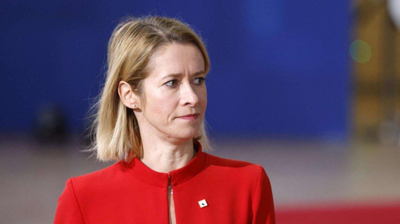 这只“聪明”的老鼠，居然在猫面前画起了设计图——欧盟外交与安全政策高级代表卡拉斯