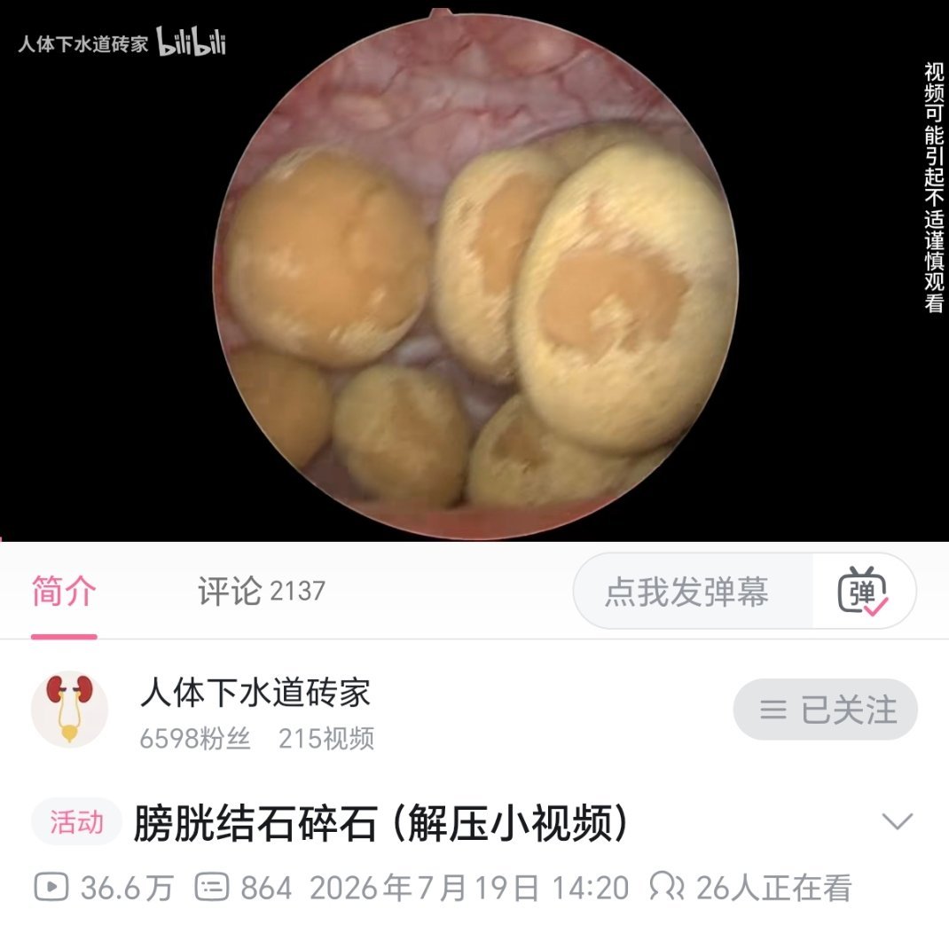 一窝恐龙蛋