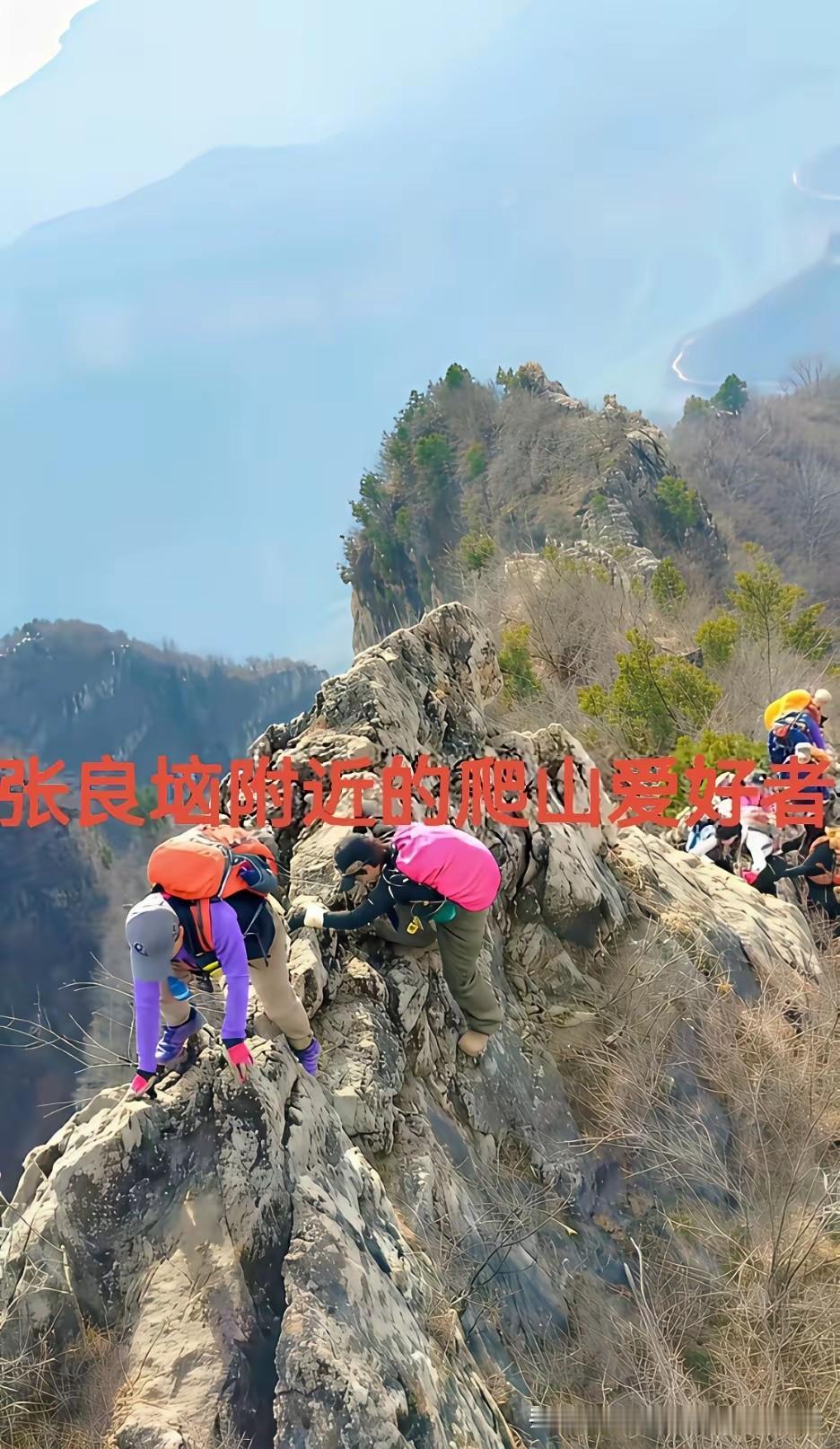 奇怪，张良垴不是经常有成群结队的爬山的驴友么？怎么在信阳女娃失联的十四天里，张良