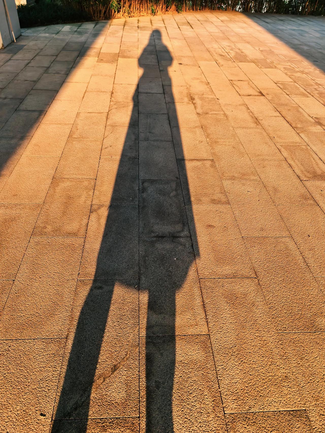 我的个天啦！在商场试穿玖姿的一件短款鹅绒服，面料做工真不错，摸着感觉软软的，