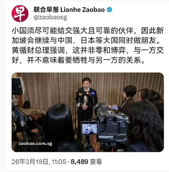 这下知道为什么新加坡人要把黄循财叫黄蠢才了吧？人们总是不会取错外号的。在他的