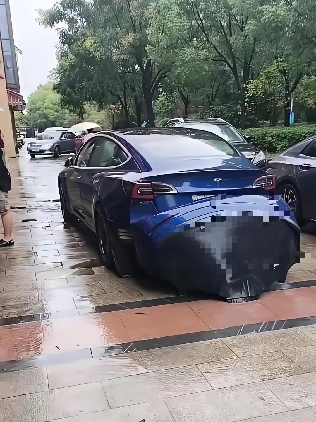 怎么会变成这副样子？