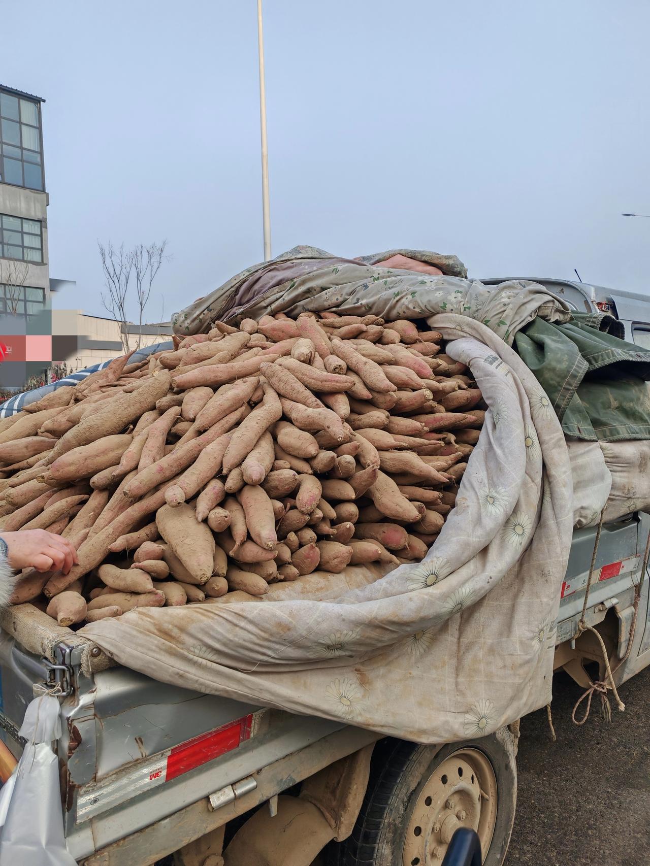 1月29日，坐标西安。这是我昨天路过拍摄的几张图片，听到这个有趣的说法，来自卖红