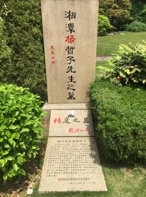 在中国近代史上，杨度是个绕不开的异数。这个早年高唱“若道中华国果亡，除非湖南人