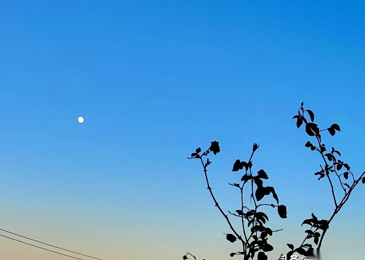 我老公张嘴，就差那么零点一秒，那句“妈，你搬来跟我们住吧”就要脱口而出了。我当