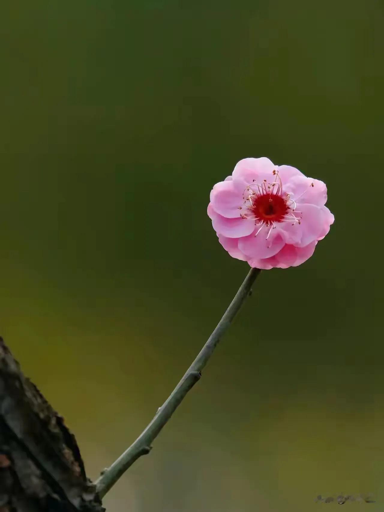 我今年才55岁，还没有过上正式的退休生活，就感觉自己的身体越来越差了。15年前就