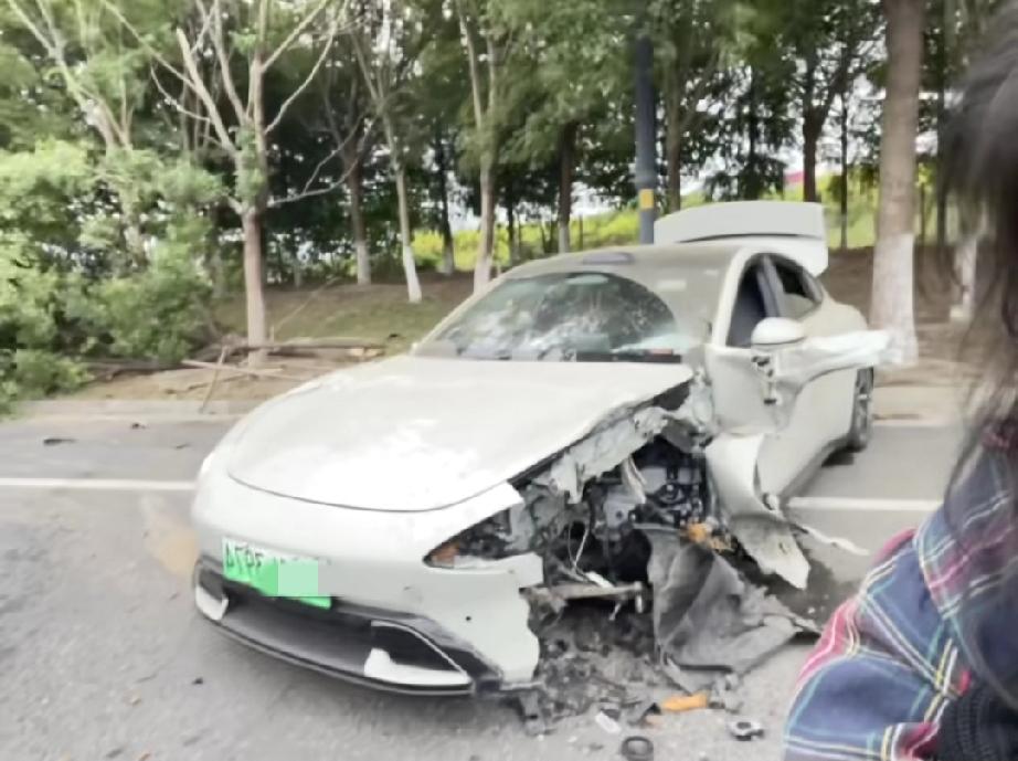 速7美女车主把车开进路边小树林里面去了，碗口粗的大树被车子硬生生推倒了，车头损毁
