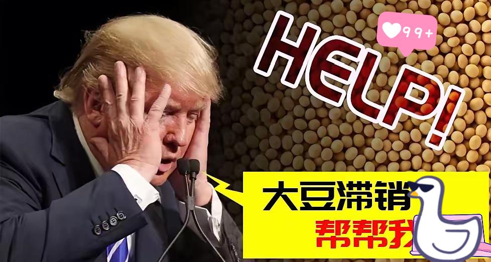 快报！快报！特朗普着急了！特朗普放话说要不让东方大国用SWIFT系统，除非