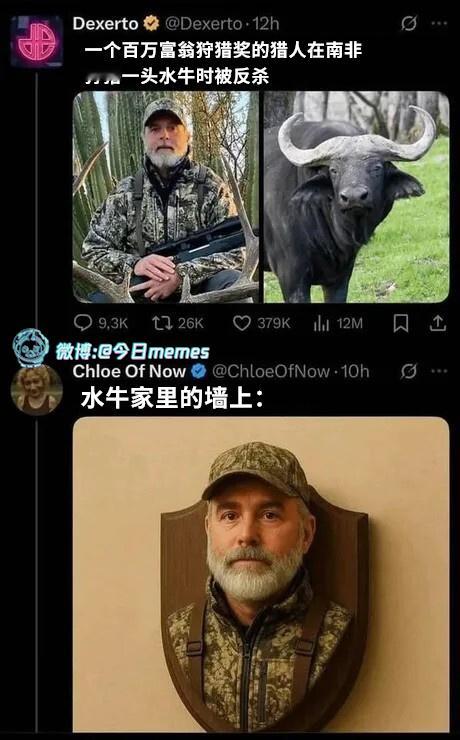 战利品（ChloeOfNow）今日meme今日memes​​​