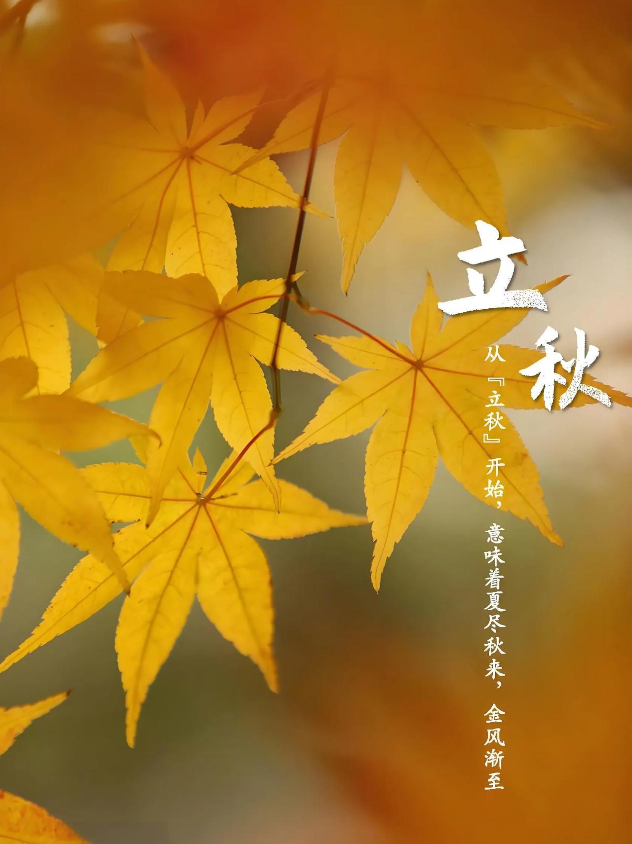 提前通知一下！让大家有个心理准备还有5天，也就是8月7号那天就是立秋节气了