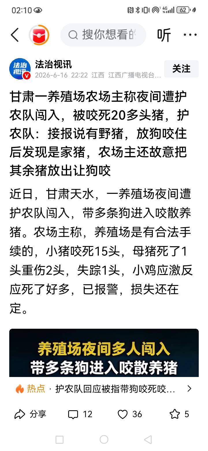 甘肃这个所谓的家猪被当做野猪打死多头的事，现在全网在流传，这个事情的诡异之处在于