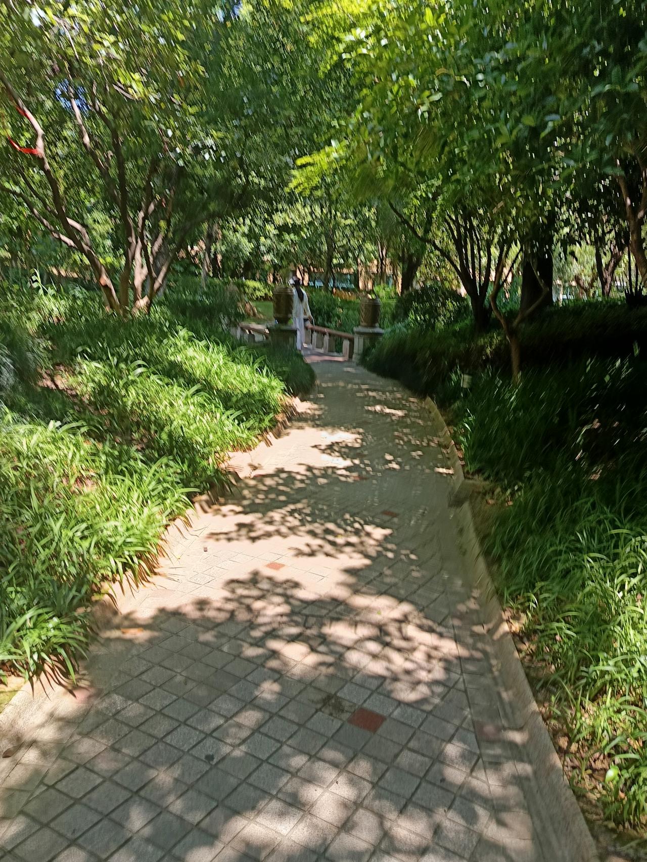 公爹走了半个月了，过几天又要回老家，公爹的三七到了，按农村的风俗习惯那天有亲戚来
