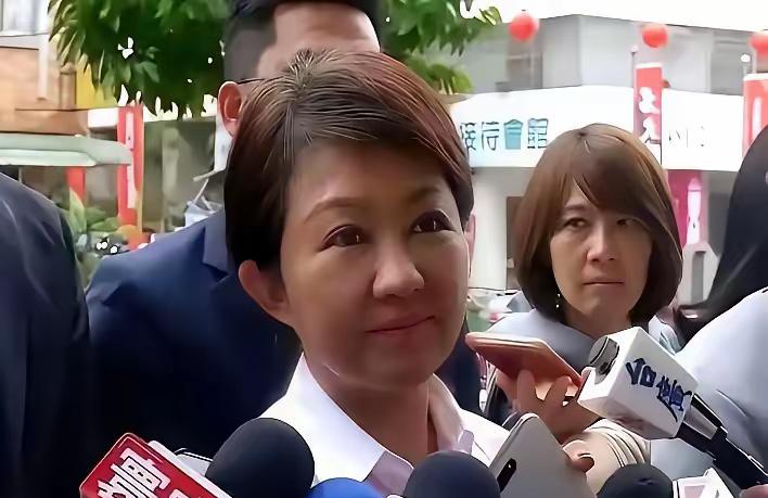 卢秀燕：你的"妈妈市长"还演不演了？陈挥文在节目里一句话就把人问住了——"妈