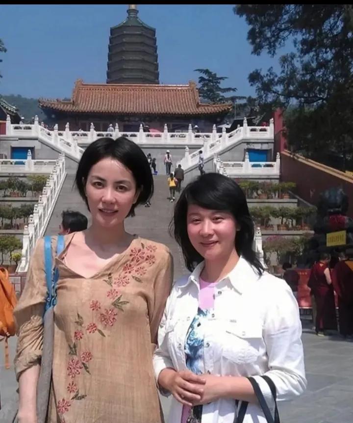王菲：数十年容颜未改，时光淬炼的绝美传奇