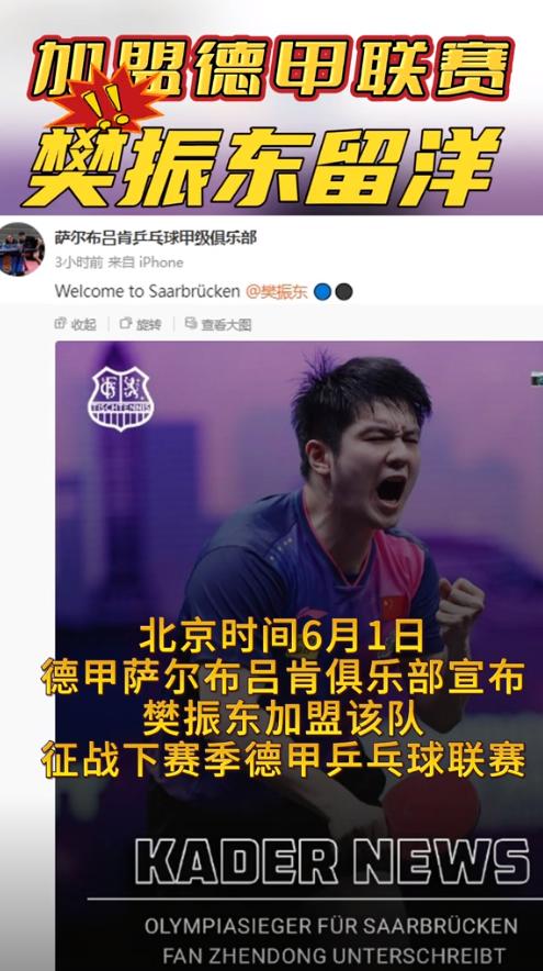 为什么樊振东要加入德国俱乐部？不是樊振东执意要加入德国俱乐部，而是他真的被逼到绝