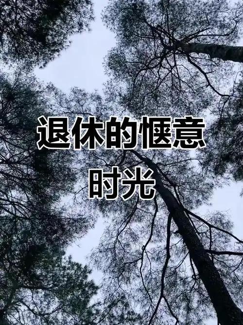 退休真的不是人生的终点，而是另一段美好生活的起点。很多人一退休就无所适从，要么天