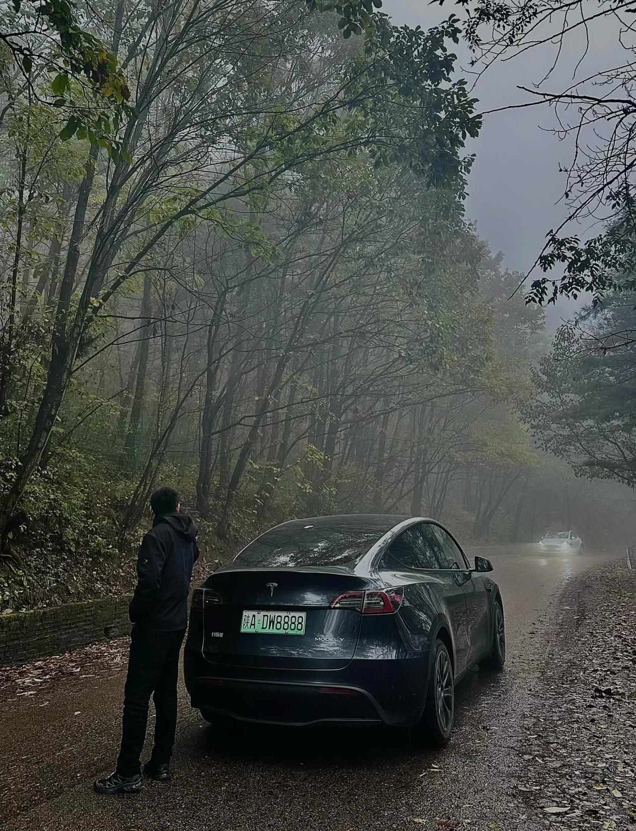 第一批冷杉观赏者西安迷雾森林，越上去雾越大，去秦岭感受漫山遍野的秋天西安鸡窝子