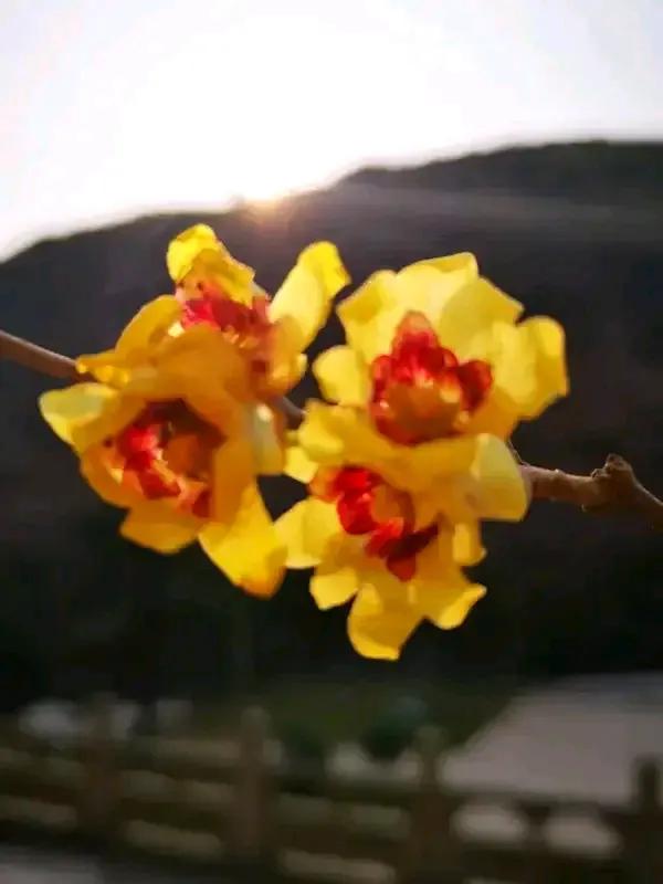 比起耍小聪明，实实在在做人到底赢在哪里？有人问，实实在在做人会后悔吗？答案定然