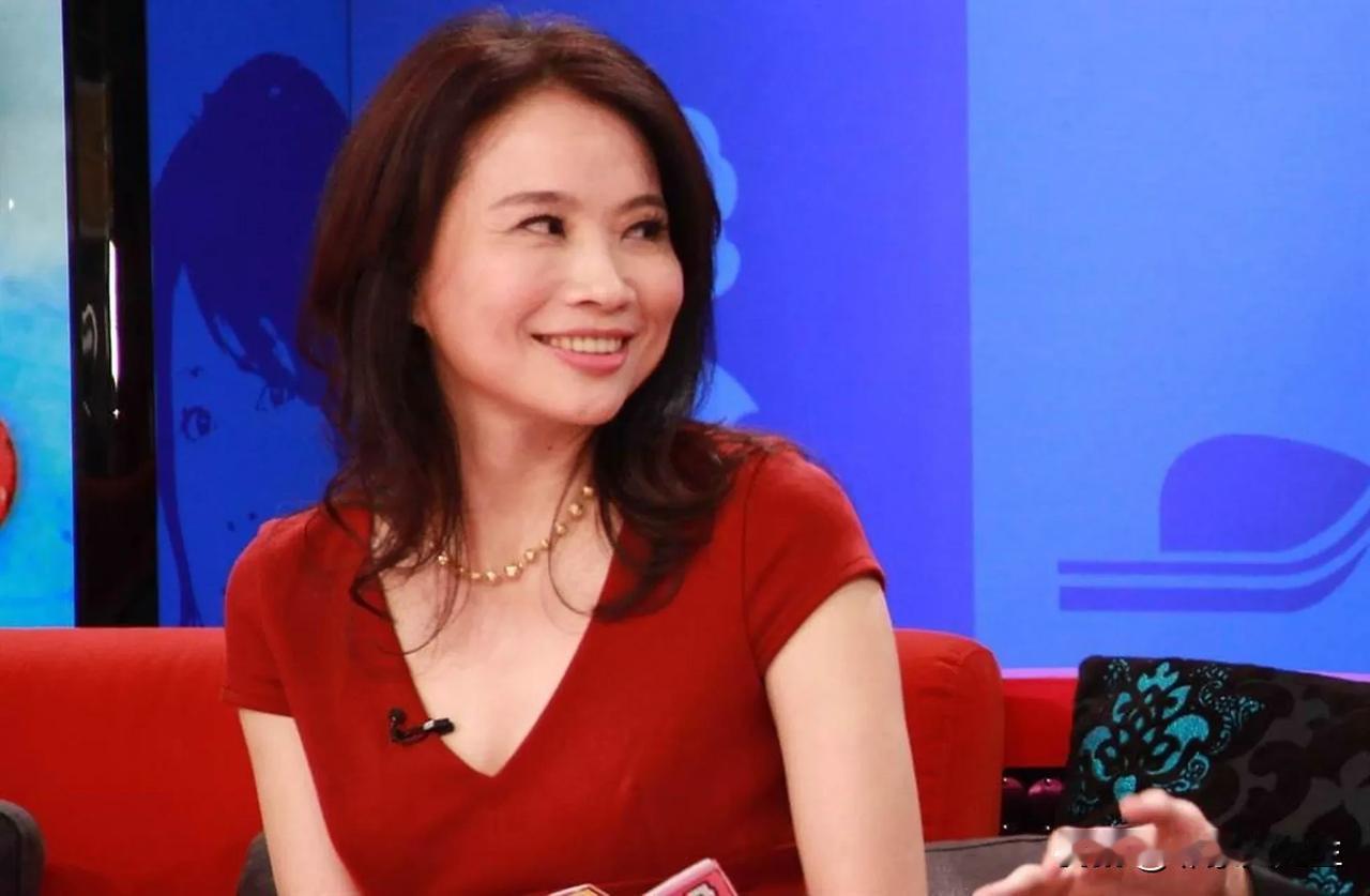 陈凤馨当面呛赵少康陈凤馨13日在政论节目《少康战情室》中指出，这次国民党主席