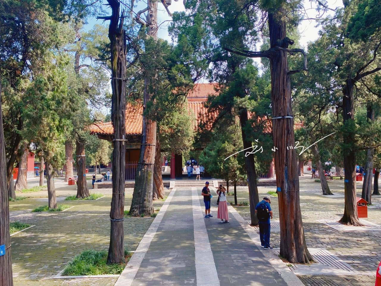 山东省作为华东地区的旅游大省，除青岛、济南等大城市外，曲阜这座县级市也声名远扬。