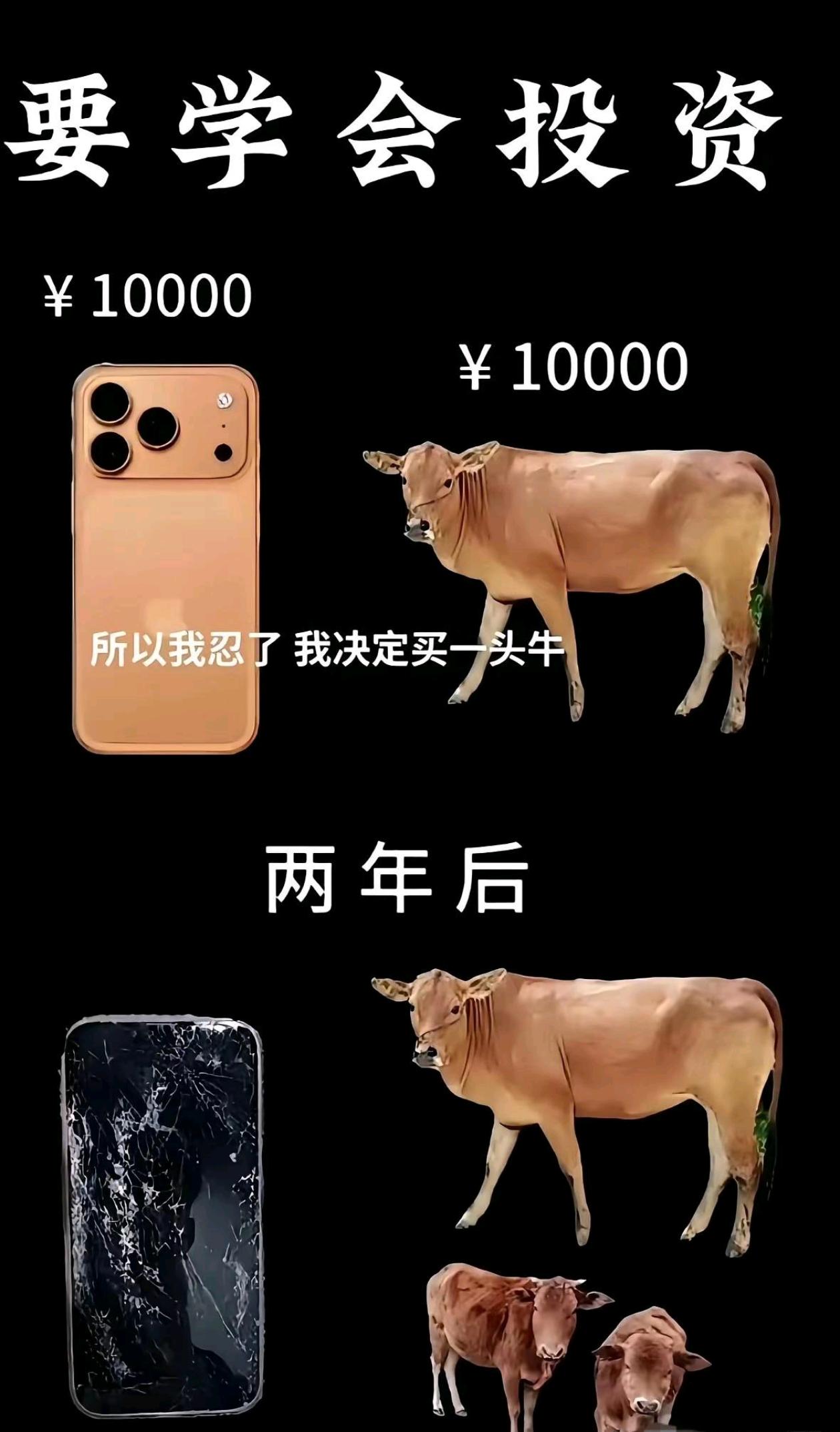 不得不说，原来这就是投资啊