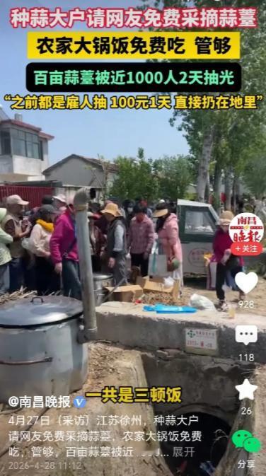 这才是真正的“降本增效”天花板！4月28日报道！徐州种蒜大户免费送蒜