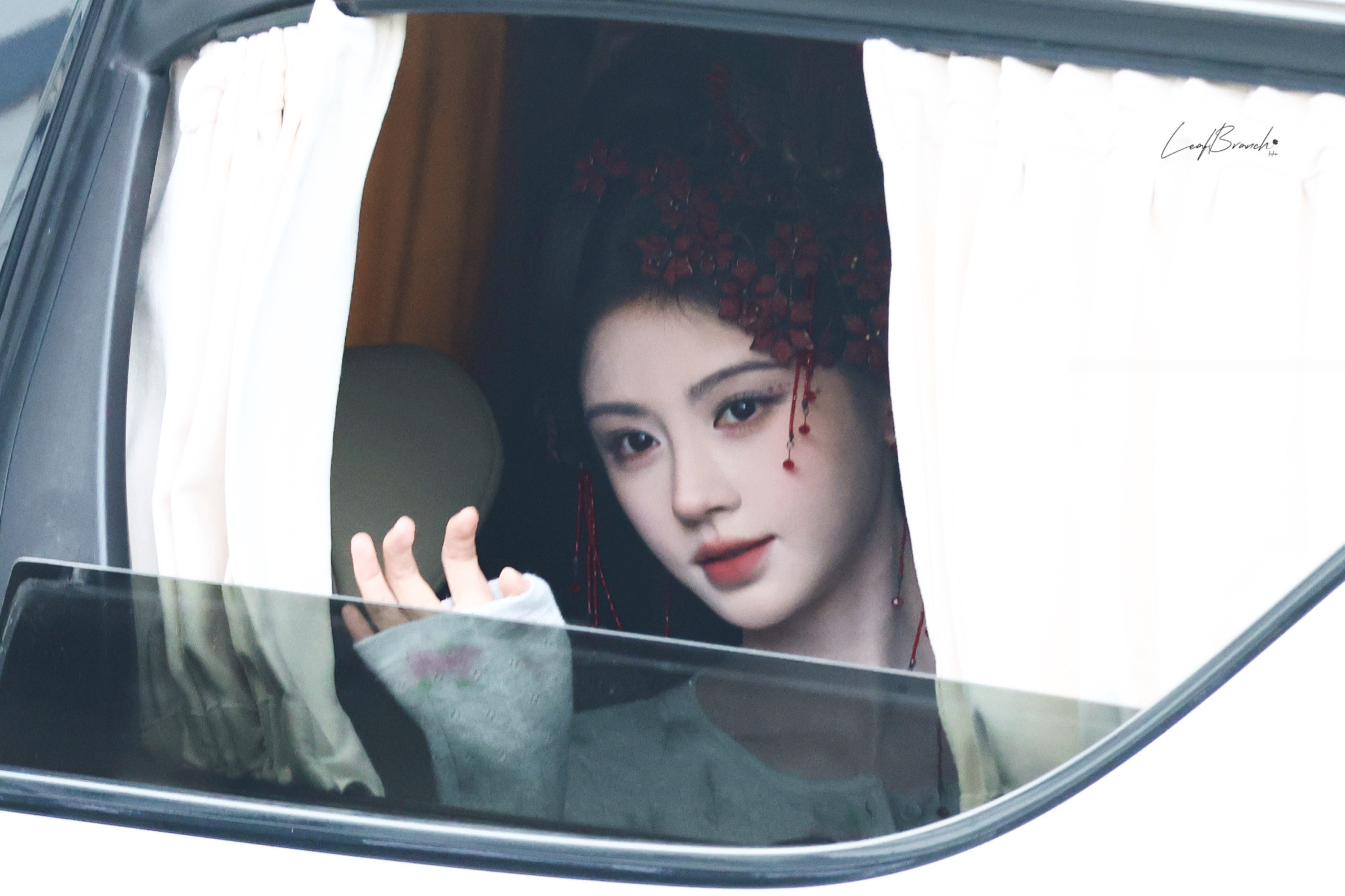 京城牡丹花鞠婧祎苏绿夏