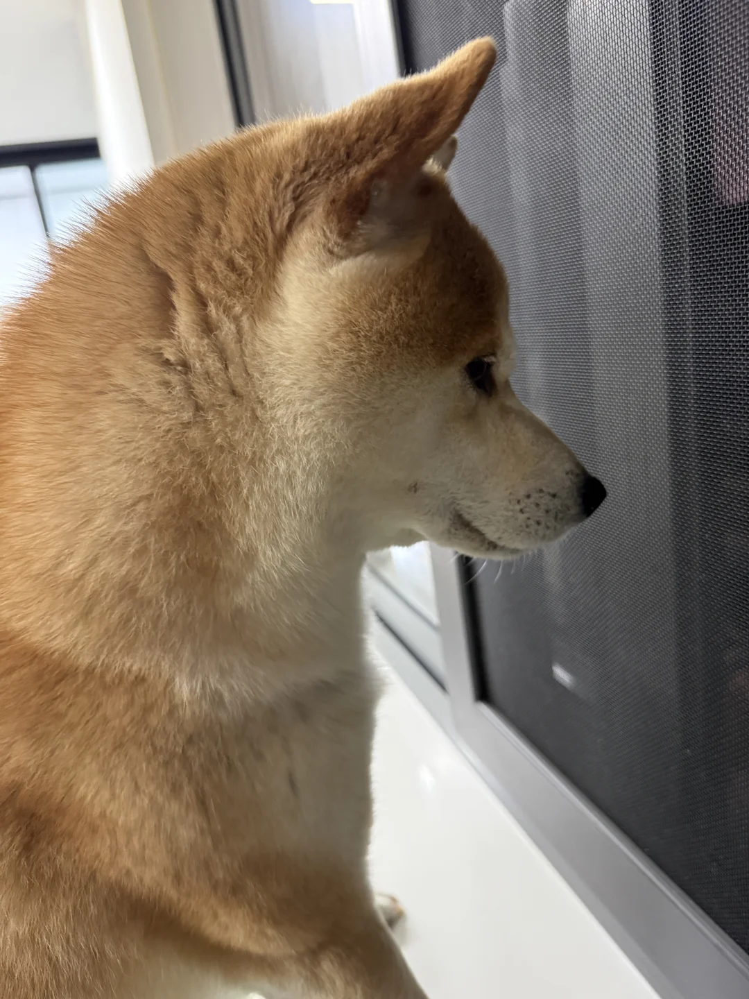 你看我几分像从前？