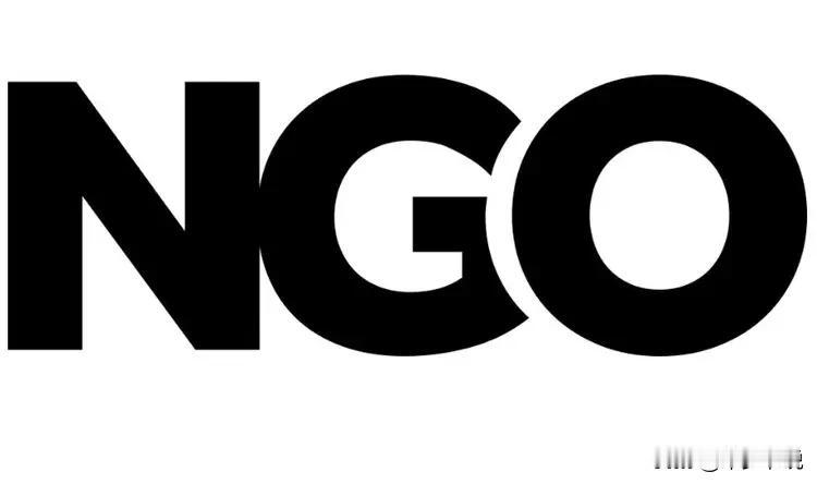 前几年国外NGO组织在国内扶植了很多专家学者，这波人后来成为可各行业的“翘楚”，