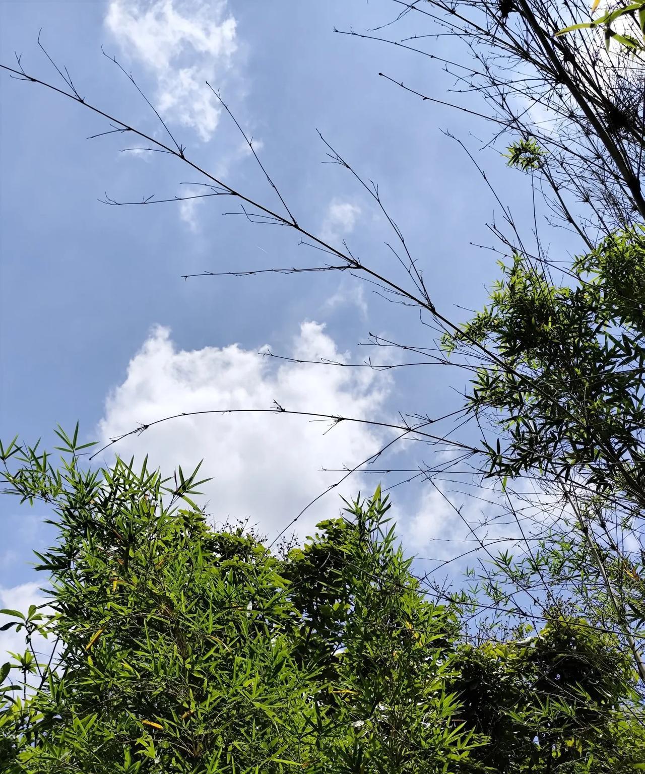黄圣依生孩子没打麻药，黄圣依生两个孩子都是顺产，生老大时打了催产素，她觉得打了