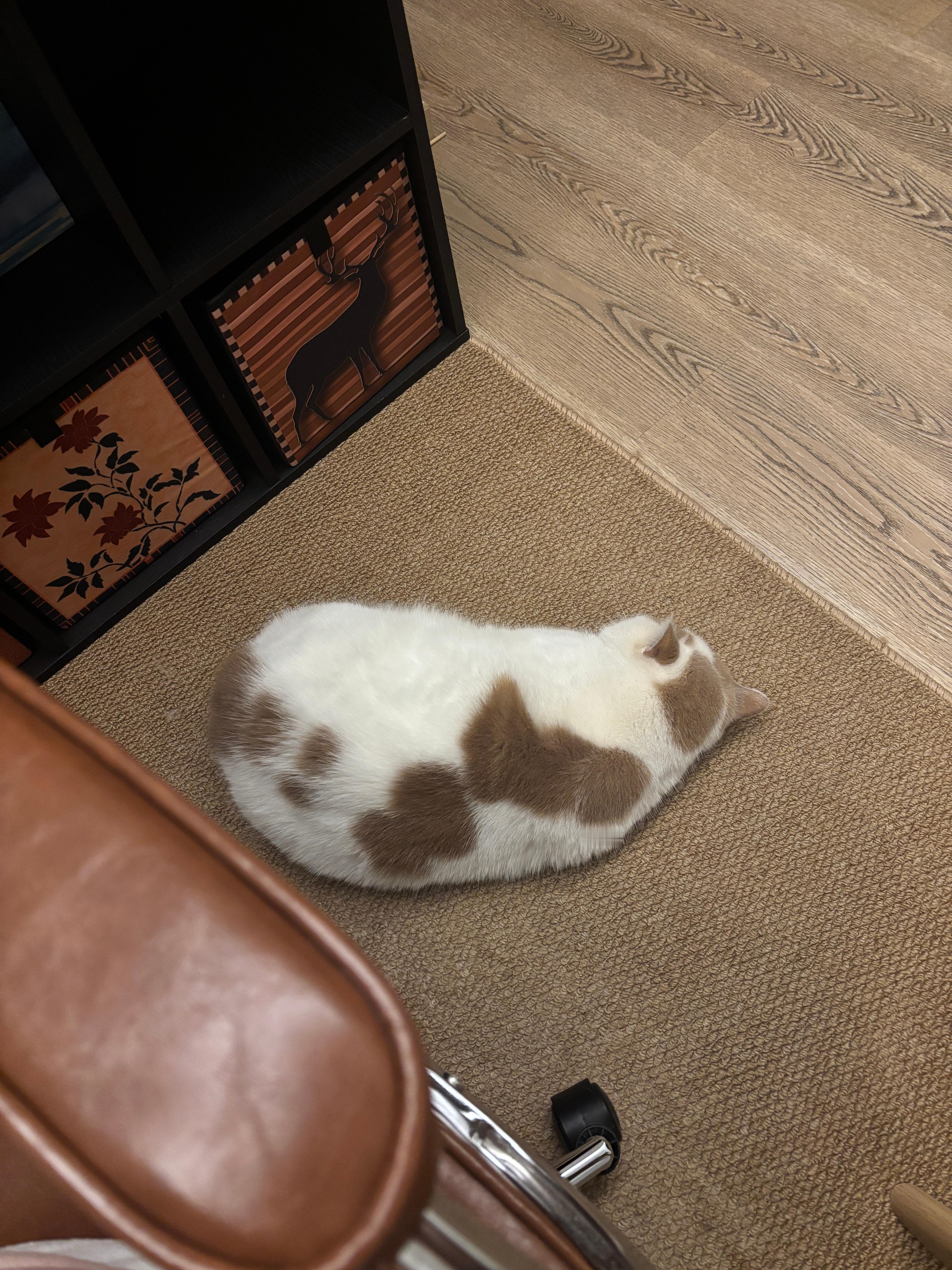 我壮了你也壮了